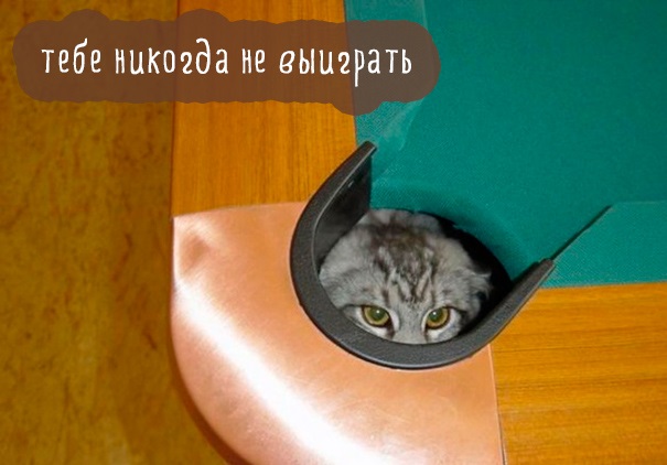 Хостинг картинок yapx.ru