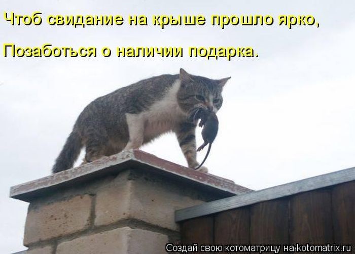 Хостинг картинок yapx.ru