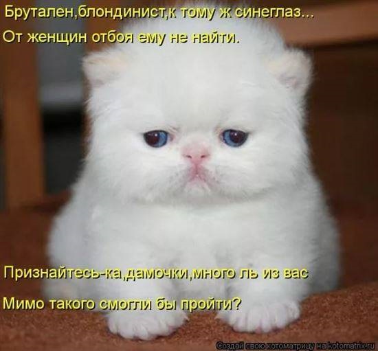Хостинг картинок yapx.ru