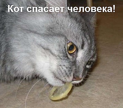 Хостинг картинок yapx.ru