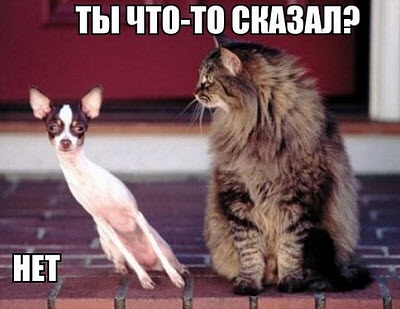 Хостинг картинок yapx.ru