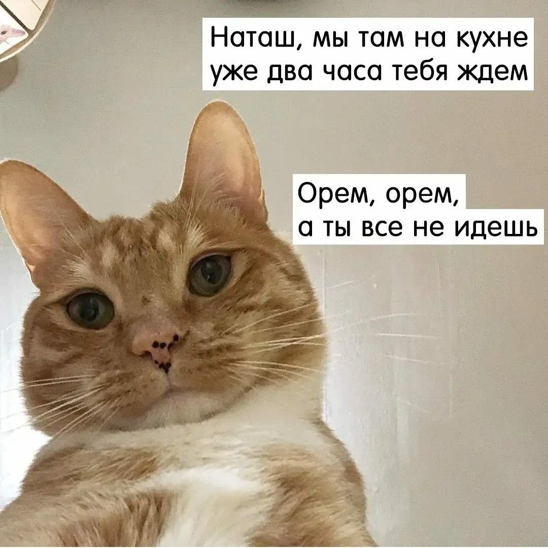 Хостинг картинок yapx.ru