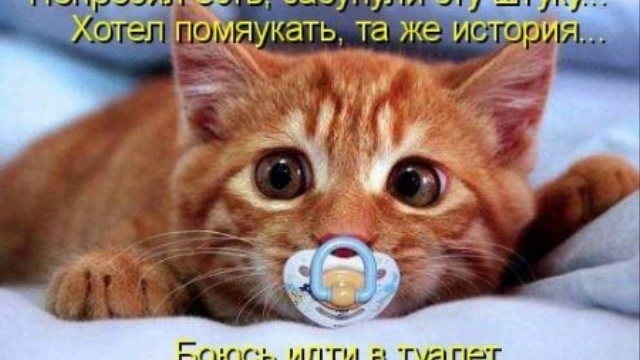 Хостинг картинок yapx.ru