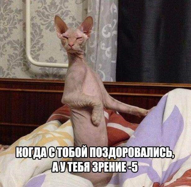Хостинг картинок yapx.ru