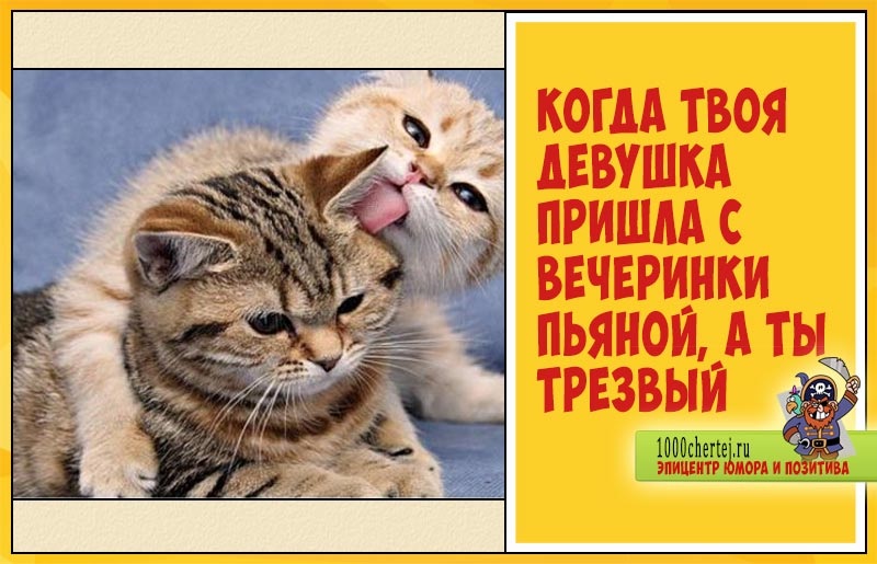 Хостинг картинок yapx.ru