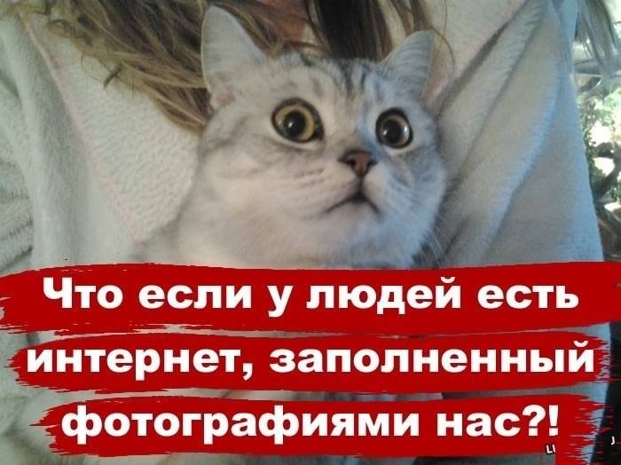 Хостинг картинок yapx.ru