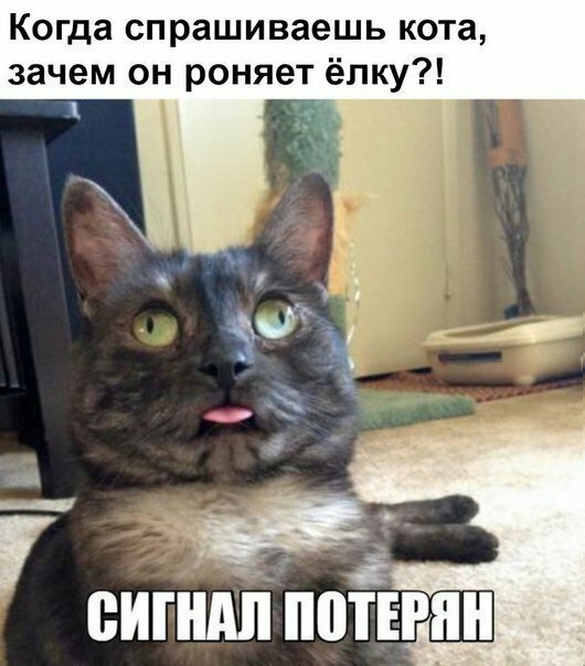 Хостинг картинок yapx.ru