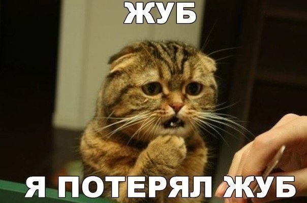 Хостинг картинок yapx.ru