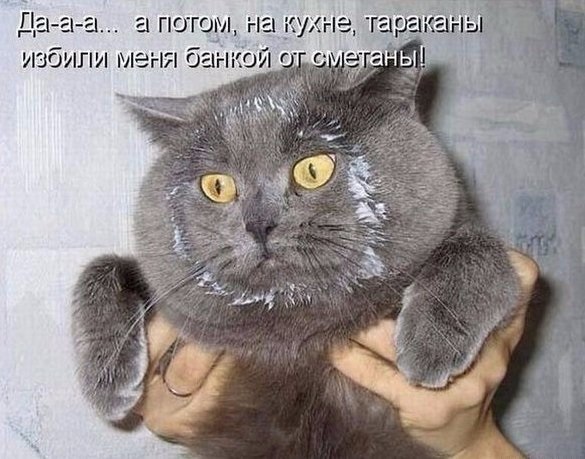 Хостинг картинок yapx.ru