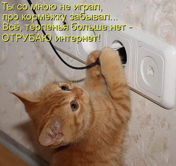 Хостинг картинок yapx.ru
