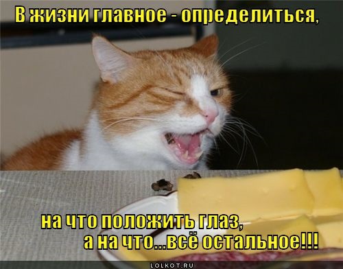 Хостинг картинок yapx.ru