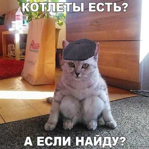 Хостинг картинок yapx.ru