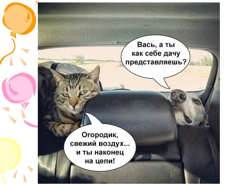 Хостинг картинок yapx.ru