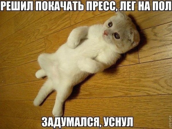 Хостинг картинок yapx.ru