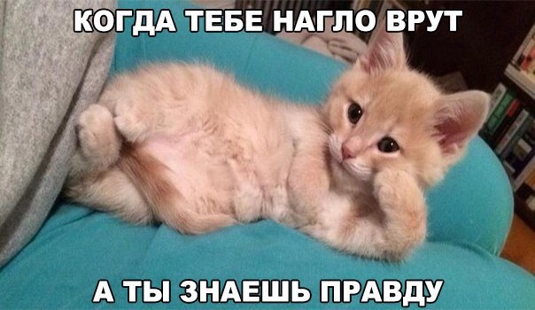 Хостинг картинок yapx.ru