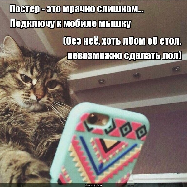Хостинг картинок yapx.ru