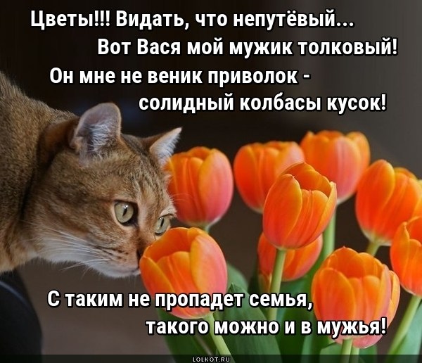 Хостинг картинок yapx.ru