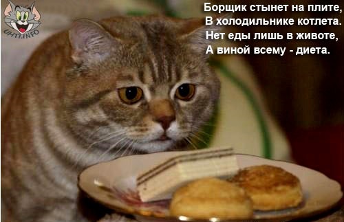 Хостинг картинок yapx.ru