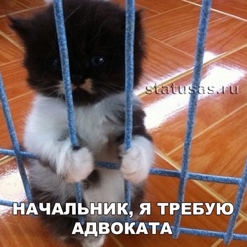 Хостинг картинок yapx.ru