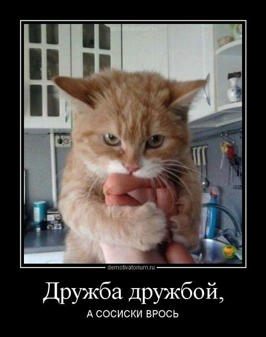 Хостинг картинок yapx.ru