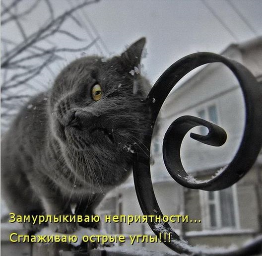 Хостинг картинок yapx.ru