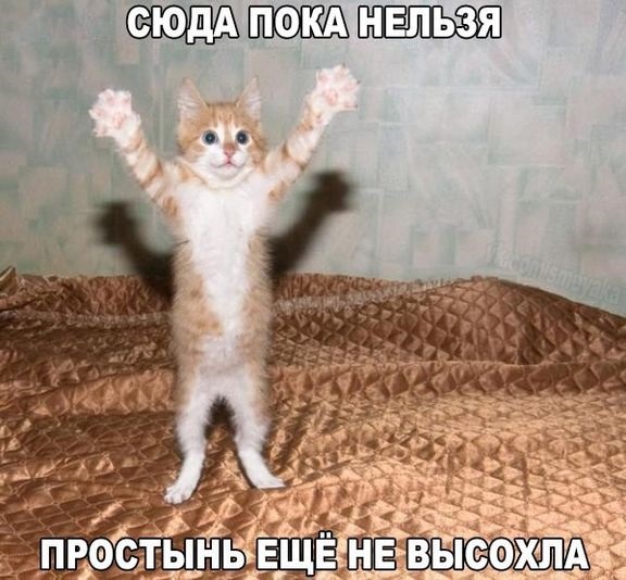 Хостинг картинок yapx.ru