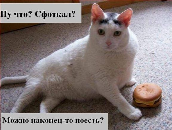 Хостинг картинок yapx.ru