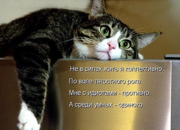 Хостинг картинок yapx.ru