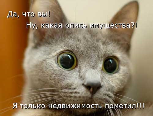 Хостинг картинок yapx.ru