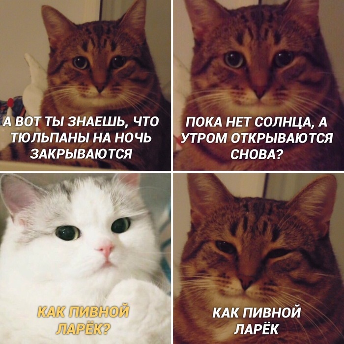 Хостинг картинок yapx.ru