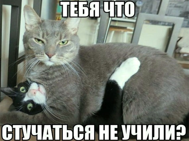 Хостинг картинок yapx.ru