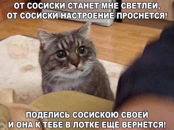 Хостинг картинок yapx.ru