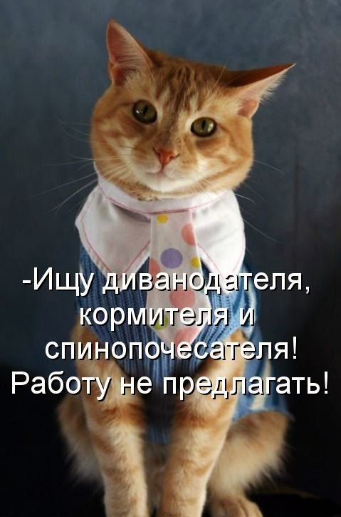 Хостинг картинок yapx.ru