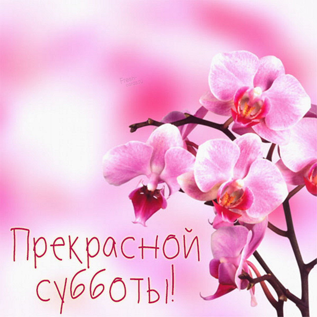 Хостинг картинок yapx.ru