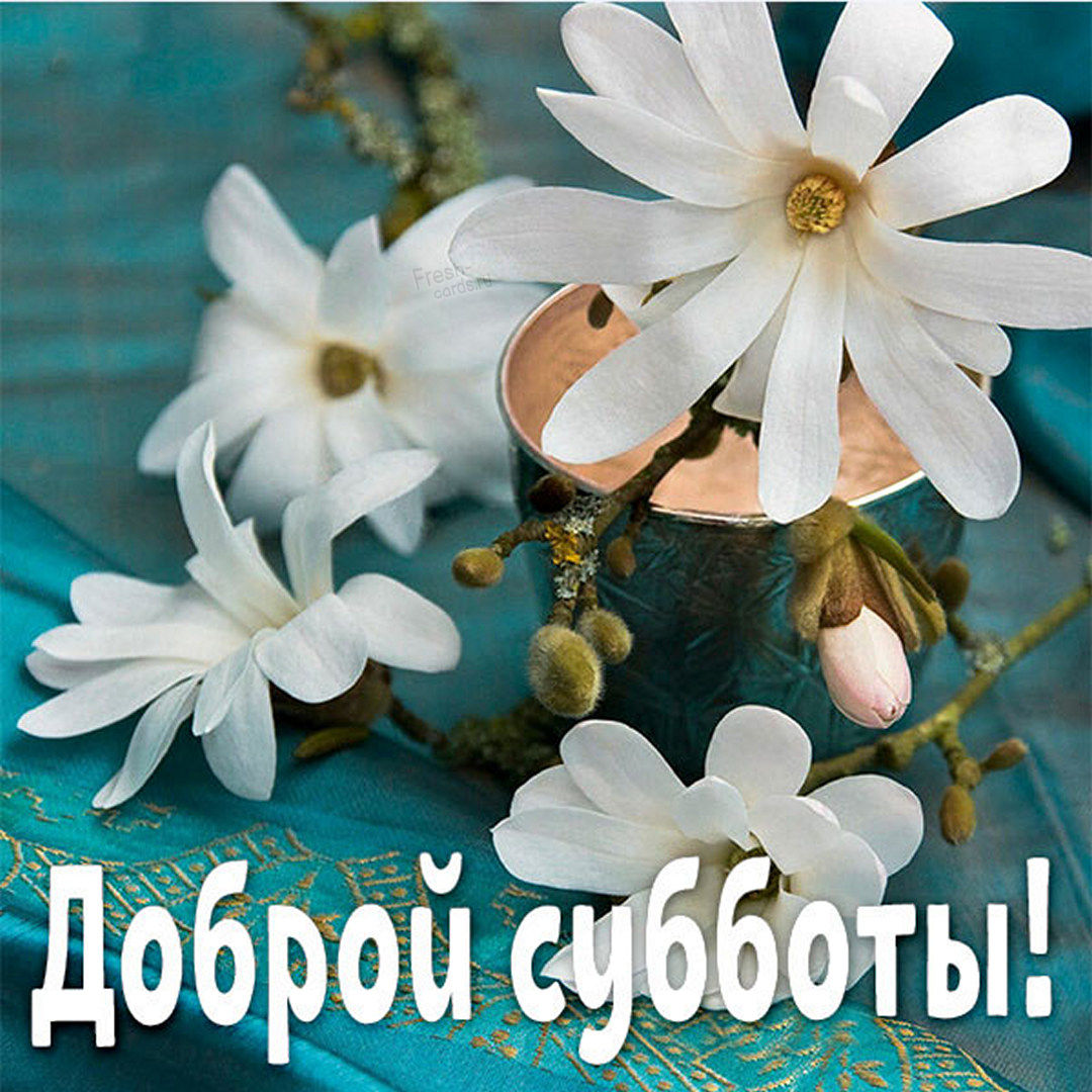 Хостинг картинок yapx.ru