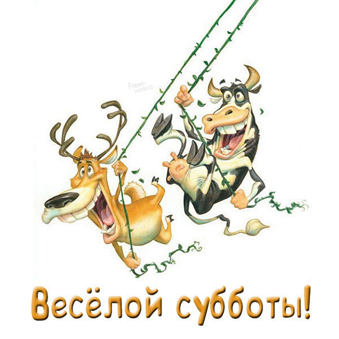 Хостинг картинок yapx.ru