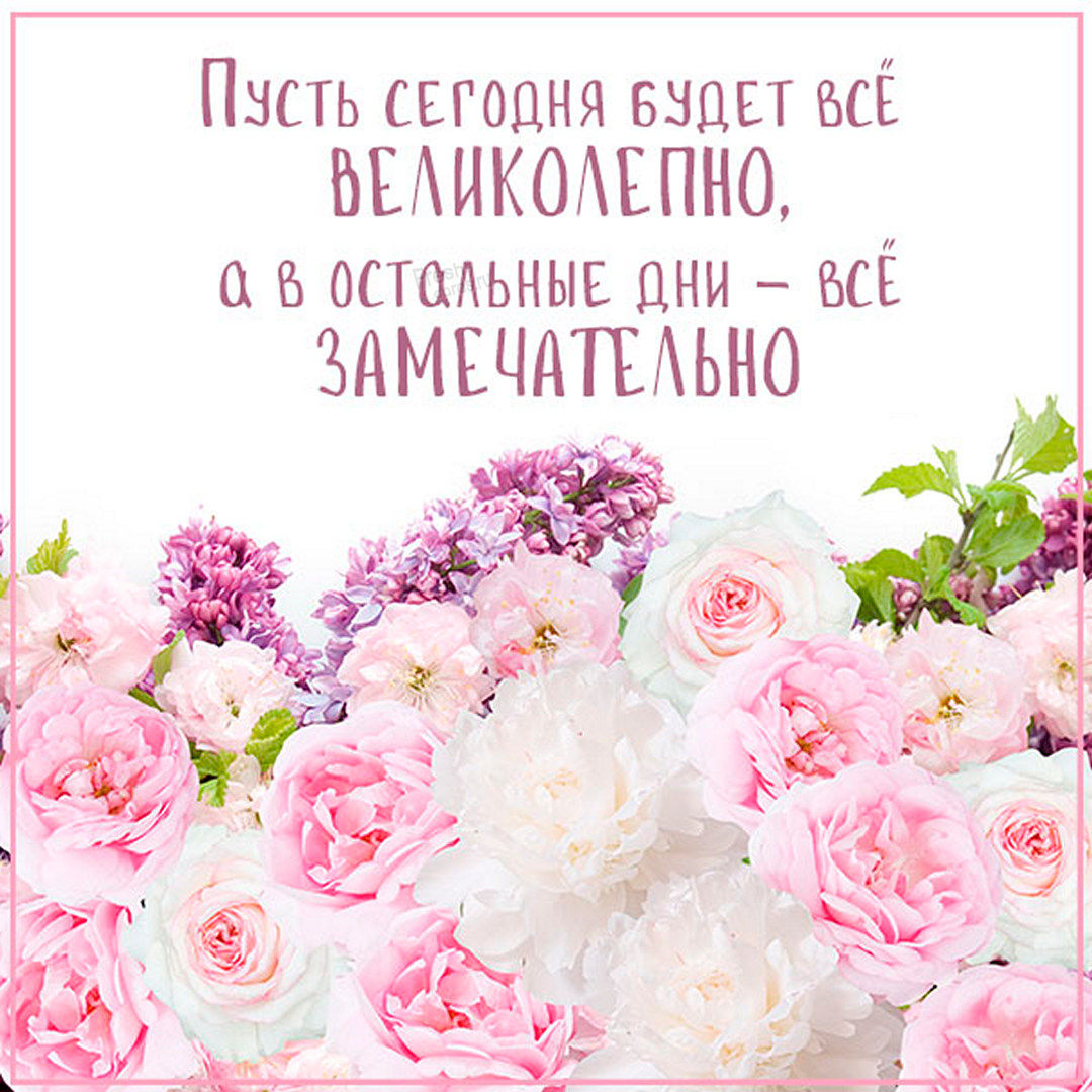 Хостинг картинок yapx.ru