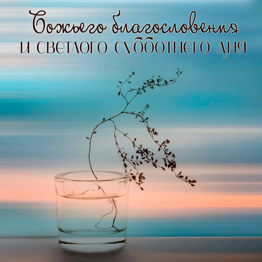 Хостинг картинок yapx.ru