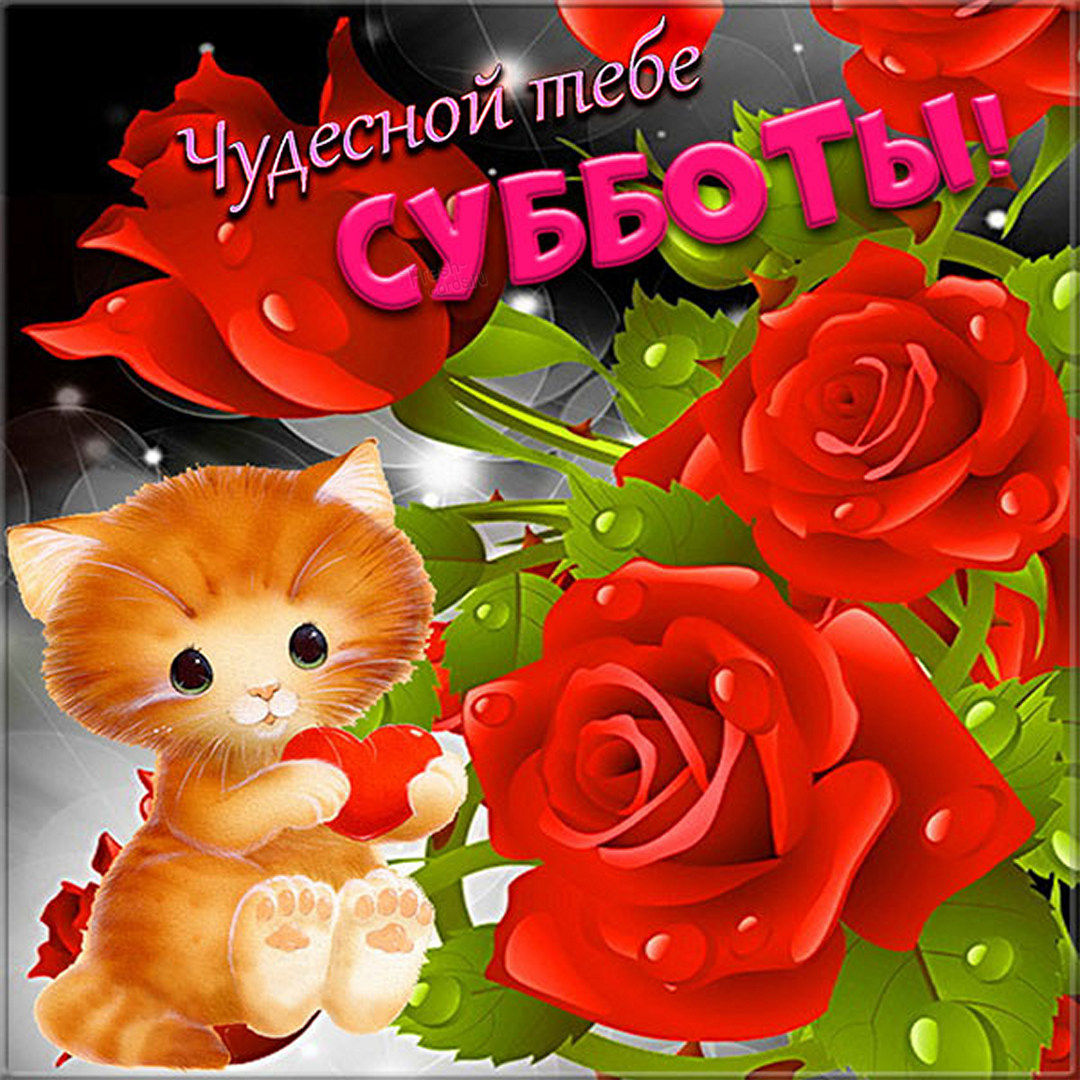 Хостинг картинок yapx.ru