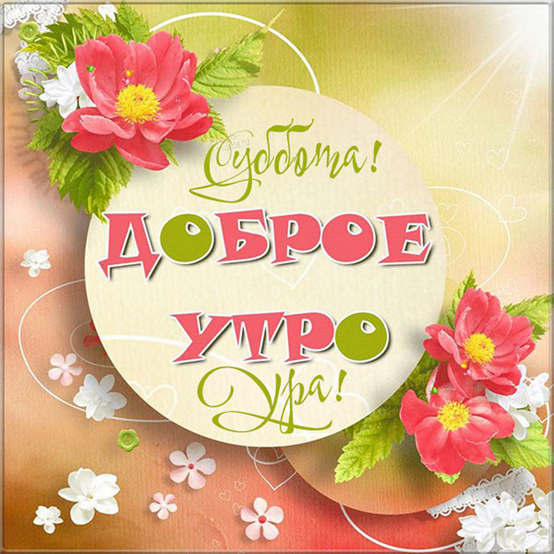 Хостинг картинок yapx.ru