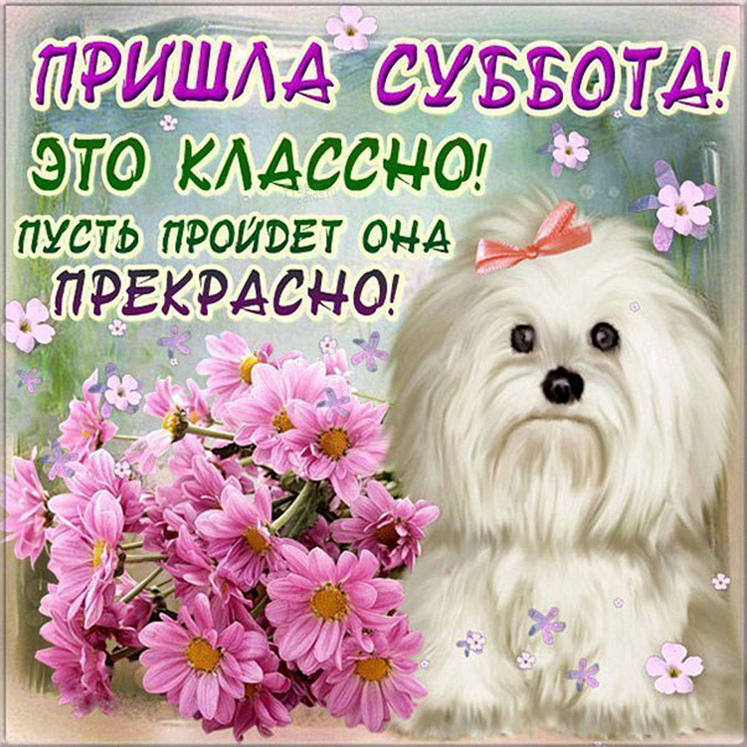 Хостинг картинок yapx.ru
