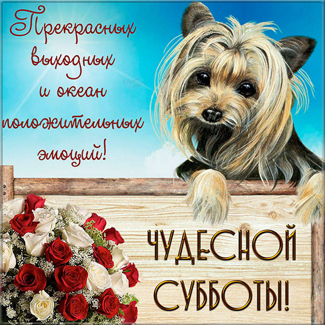 Хостинг картинок yapx.ru