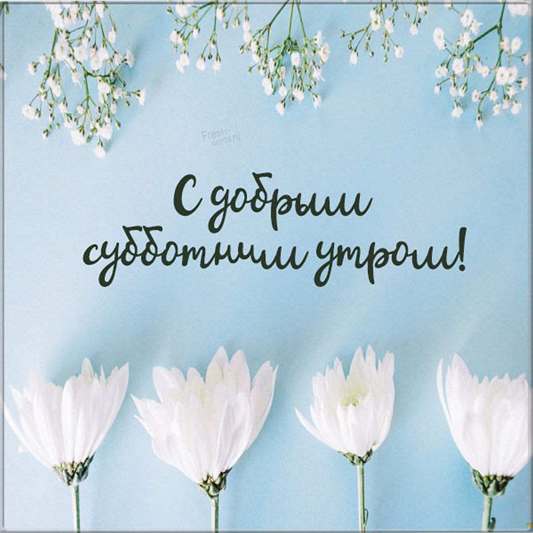 Хостинг картинок yapx.ru