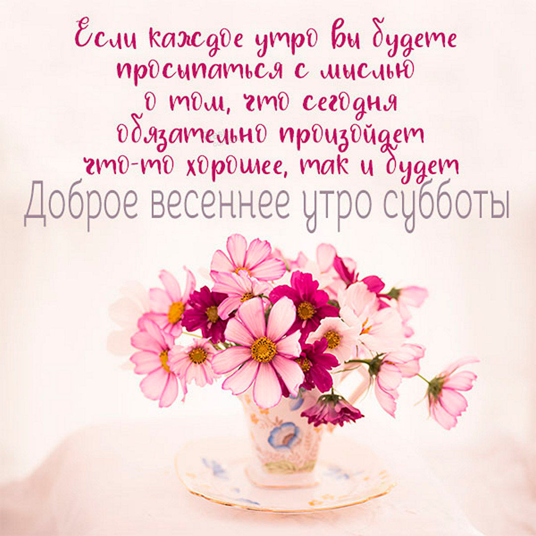 Хостинг картинок yapx.ru