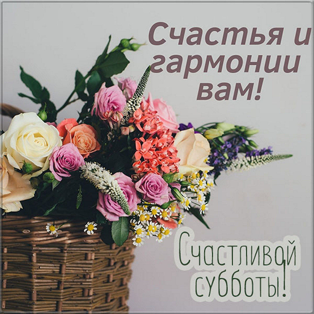 Хостинг картинок yapx.ru