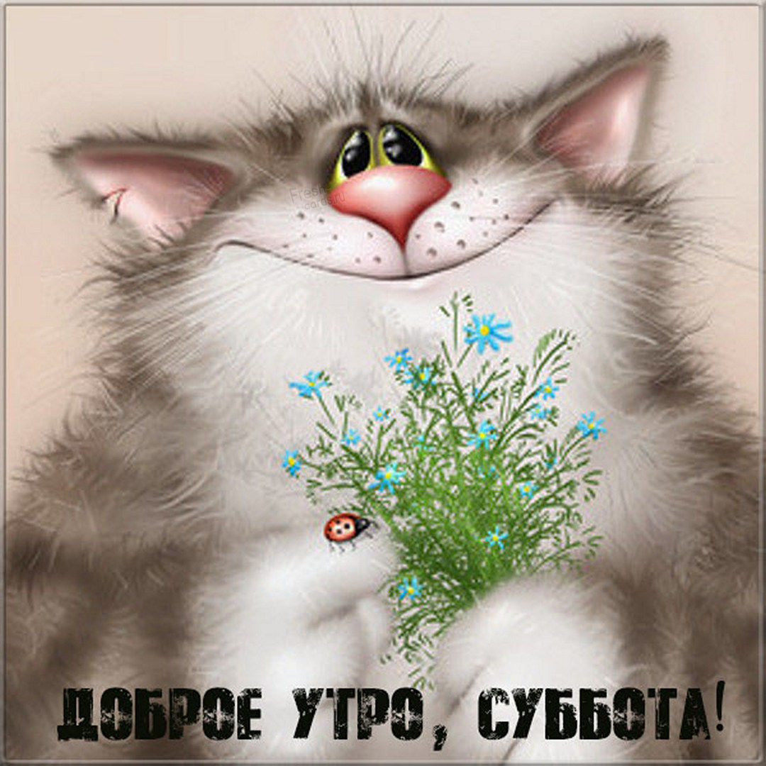 Хостинг картинок yapx.ru