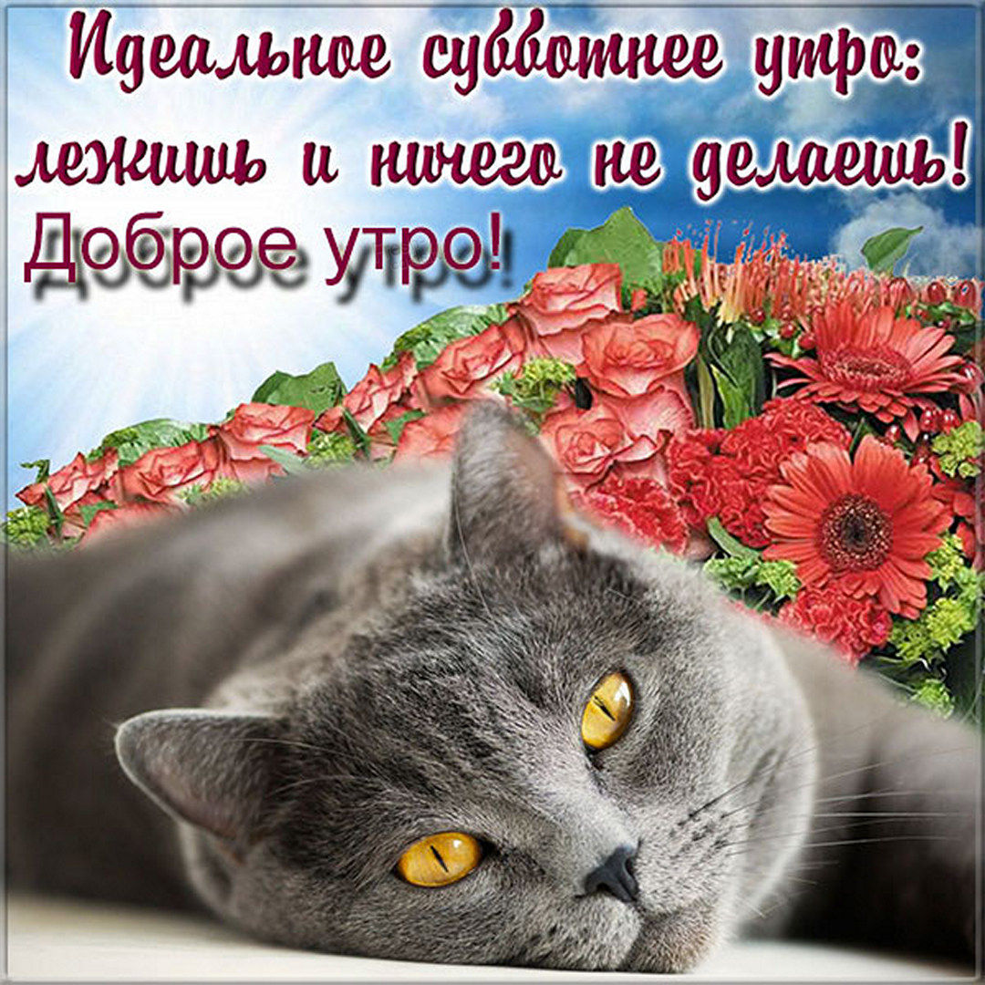 Хостинг картинок yapx.ru