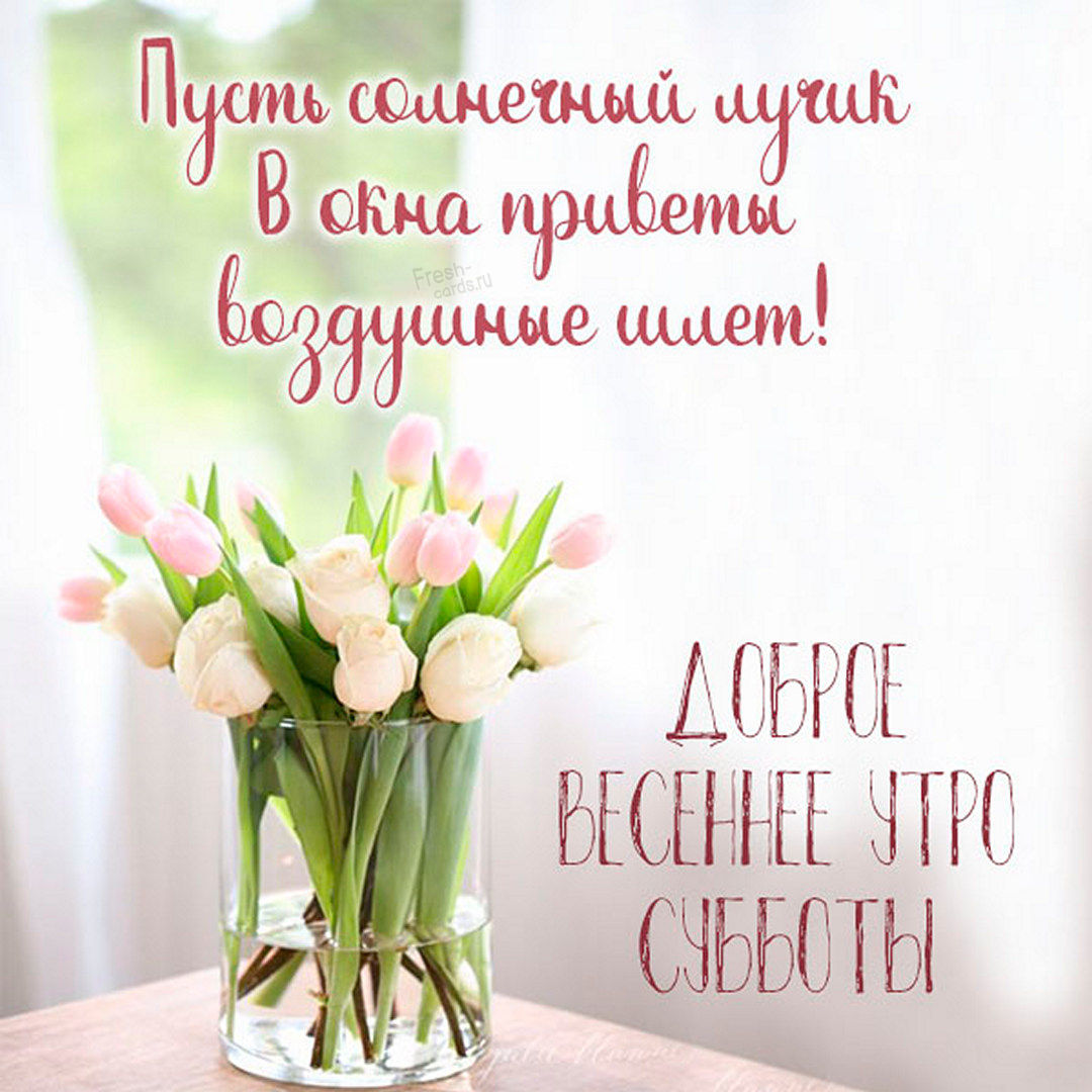 Хостинг картинок yapx.ru