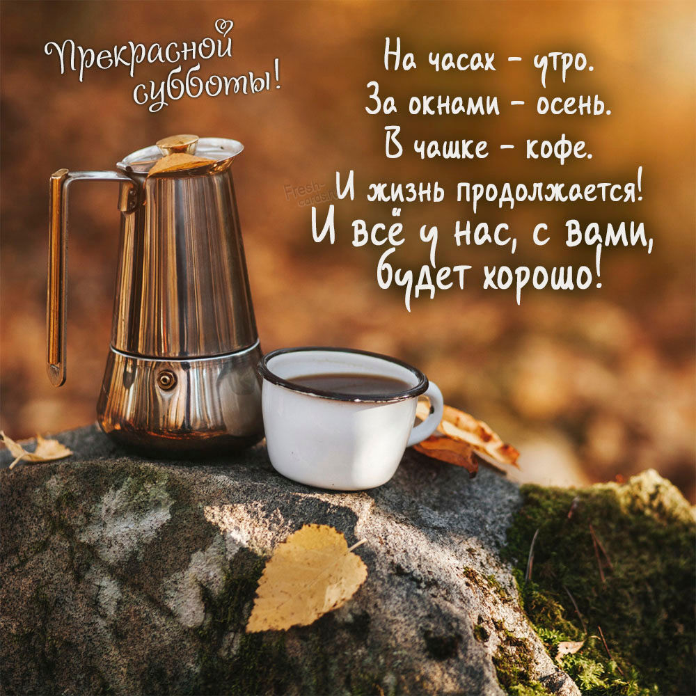 Хостинг картинок yapx.ru