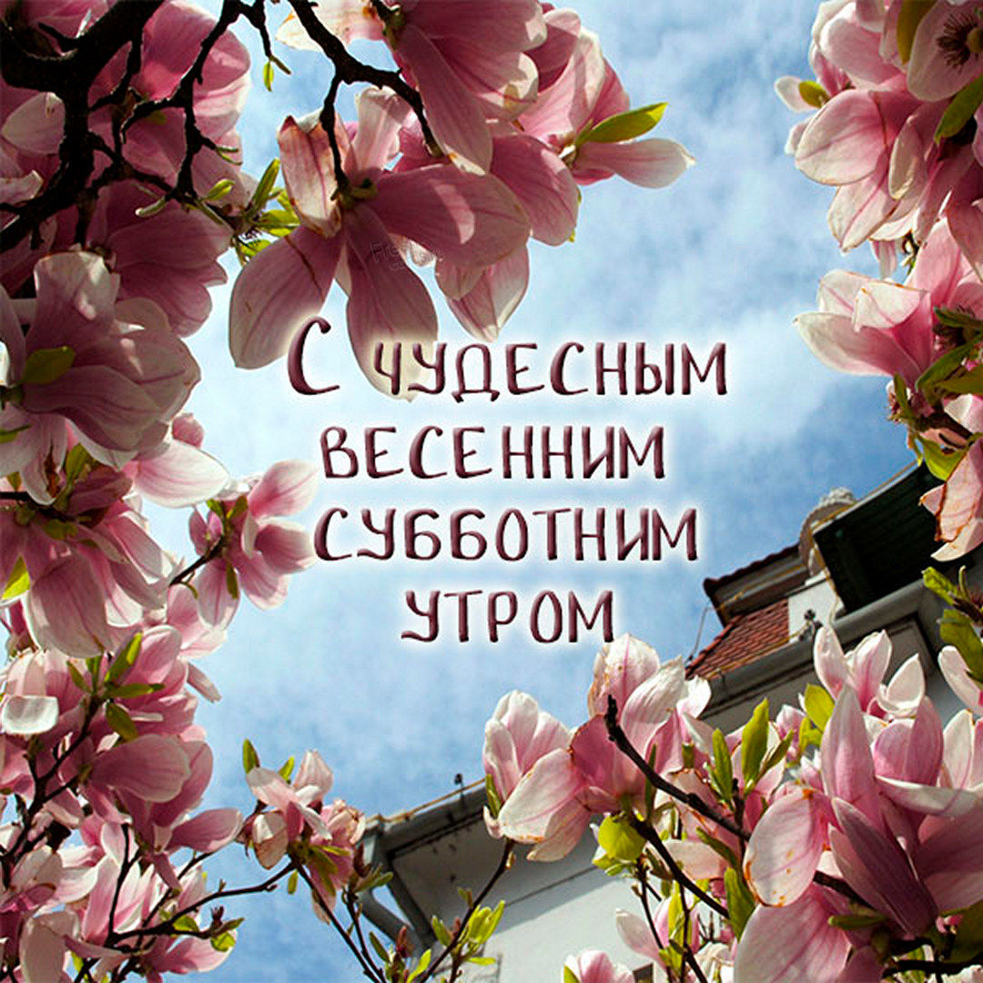 Хостинг картинок yapx.ru